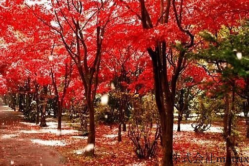 奈良県観光地