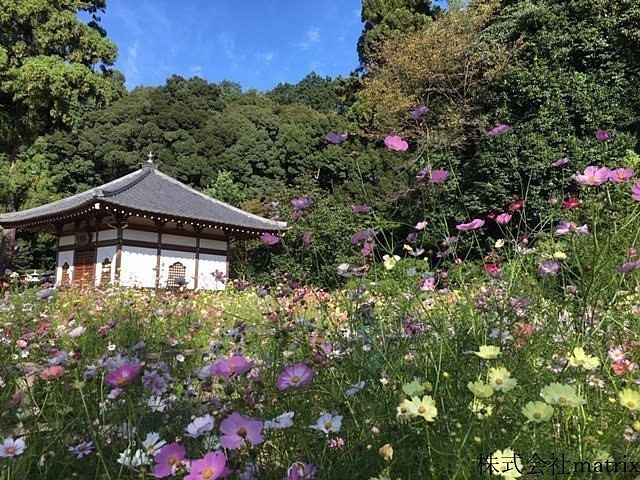 奈良県観光地